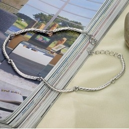 Uitstekende Kwaliteit Vrouwelijke Roltype Platina Geplateerde Titanium Enkelband