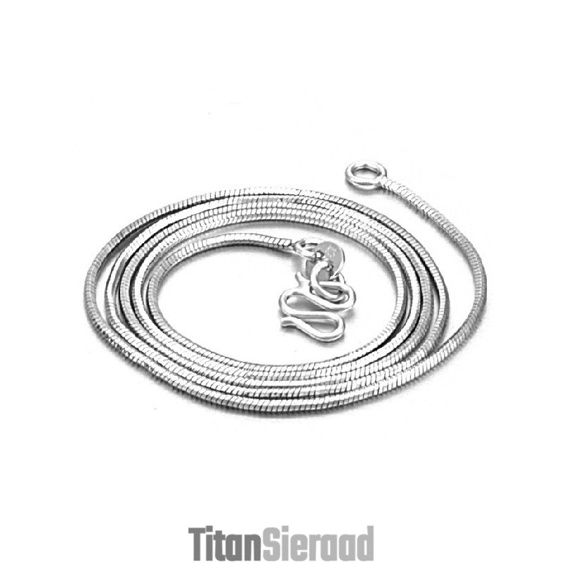 Compleet In Specificaties Vrouwelijke Slang Platina Plating Titanium Ketting