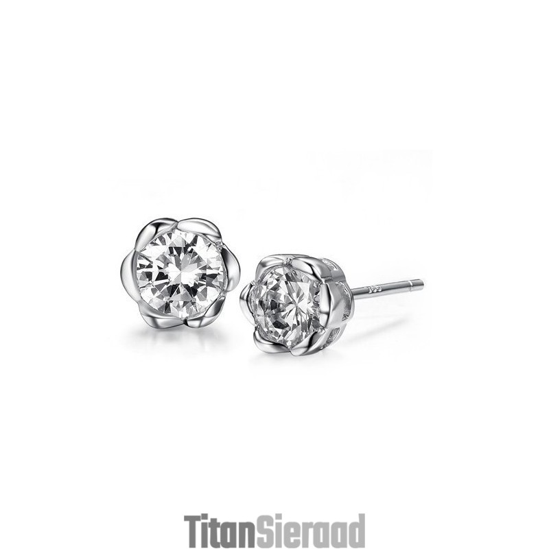 Hoogwaardige, Allergievrije Oorbellen Van En Titanium Voor Dames