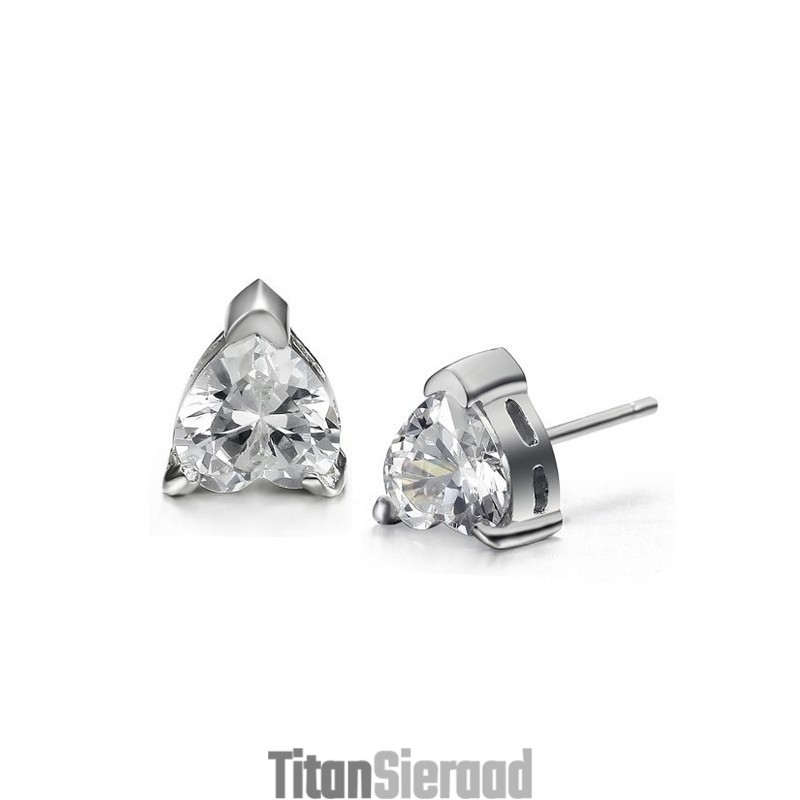 Oorbellen Van Titanium Met Platinacoating Van Uitstekende Kwaliteit Voor Vrouwen, Allergievrij