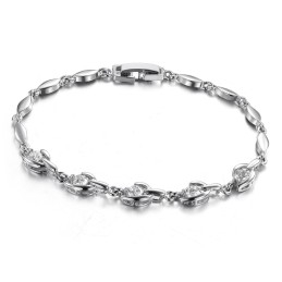 Gebruiksvriendelijke Vrouwelijke Platina Titanium Armband
