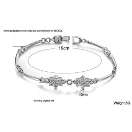 De Koningin Van Kwaliteit, Vrouwelijke Pruimenbloemvormige Titanium Armband Met Diamant