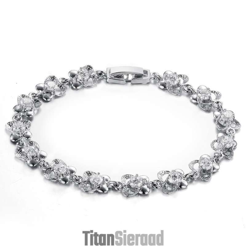 Breed Scala Aan Vrouwelijke Platina Plating Titanium Armbanden