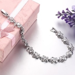 Breed Scala Aan Vrouwelijke Platina Plating Titanium Armbanden