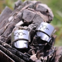 Titanium Oorbellen Voor Heren