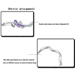 Wereldwijd Bekende -Geplateerde Titanium Armband Voor Dames Met Diamant