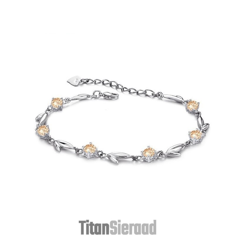 Volledig In Specificaties: Vrouwelijke Platina Plating Titanium Armband Met Diamant Volledig In Specificaties: Vrouwelijke Platina Plating Titanium Armband Met Diamant