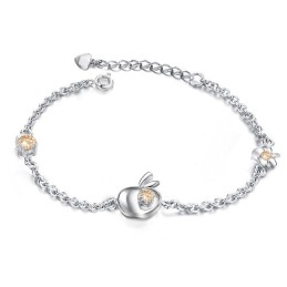Compleet In Specificaties Vrouwelijke Appelvorm Titanium Armband Met Diamant