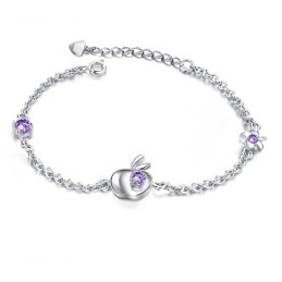 Compleet In Specificaties Vrouwelijke Appelvorm Titanium Armband Met Diamant