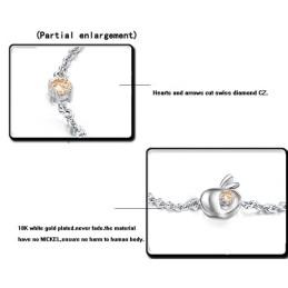 Compleet In Specificaties Vrouwelijke Appelvorm Titanium Armband Met Diamant