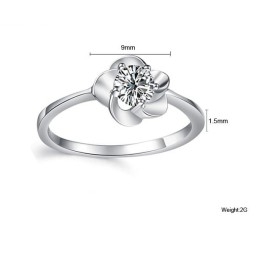 De Koningin Van De Hoogwaardige Damesmode Met Platina Plating En Titanium Ring