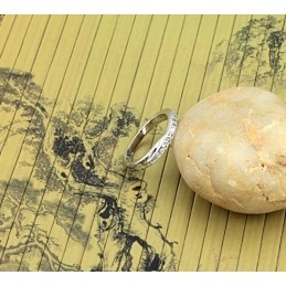 Hoogwaardige Vrouwelijke Titanium Ring Met Strass