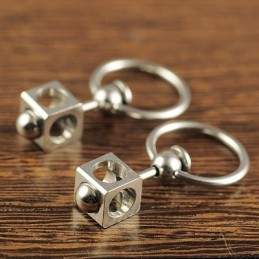 Titanium Oorbellen Voor Heren