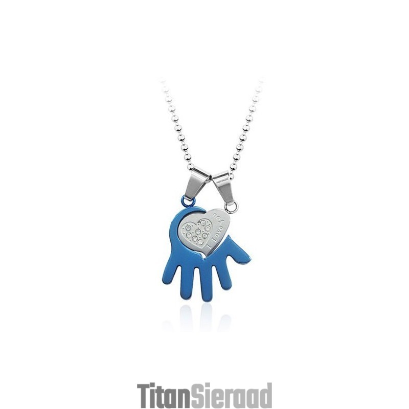 Prachtige Titanium Hanger In Palmvorm Voor Heren - Gratis Ketting Prachtige Titanium Hanger In Palmvorm Voor Heren - Gratis Ketting