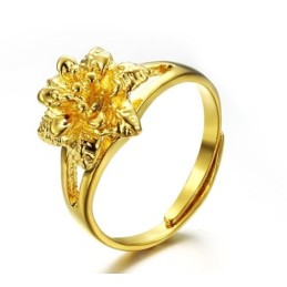 Brede Variaties Dames Klassieke 18K Vergulde Ring