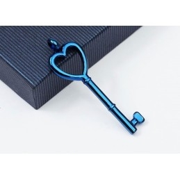 Liefdeshartsleutel Titanium Hanger - Gratis Ketting