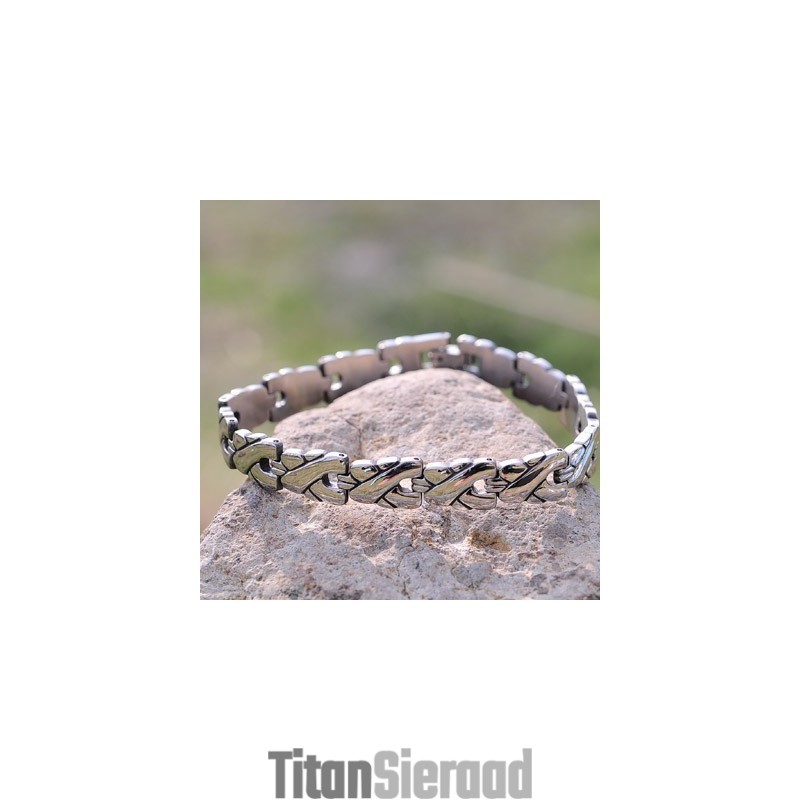 Heren Titanium Armband