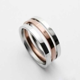 Heren 6 Mm Goud- En Zilverkleurige Titanium Ring