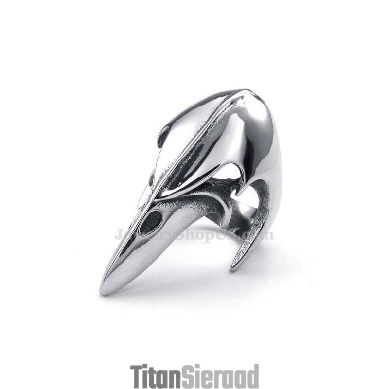 Titanium Ring