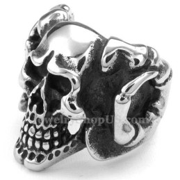 Titanium Schedelring