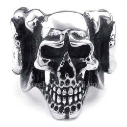 Titanium Schedelring