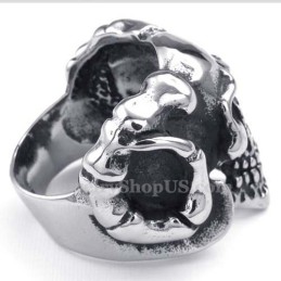 Titanium Schedelring