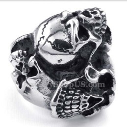 Titanium Schedelring