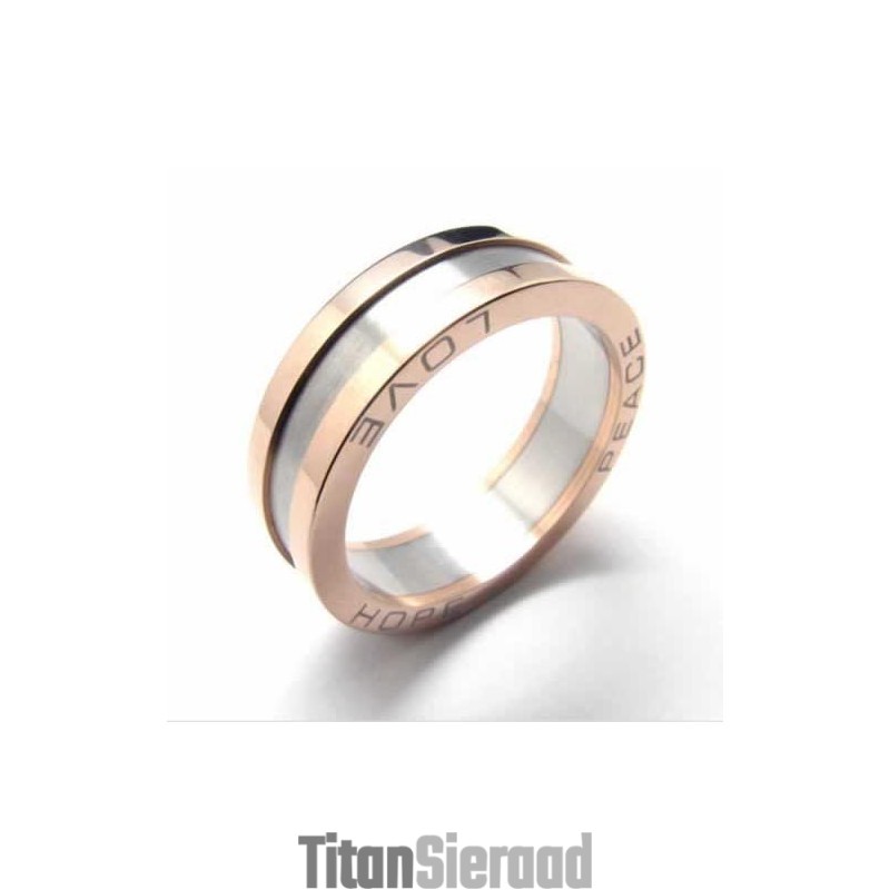 6 Mm Titanium En Gouden Ring Met Hofband 6 Mm Titanium En Gouden Ring Met Hofband