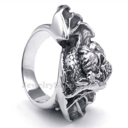 Titanium Schedelring