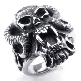 Titanium Schedelring