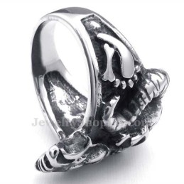 Titanium Schedelring