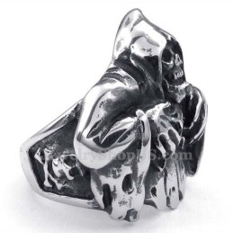 Titanium Schedelring