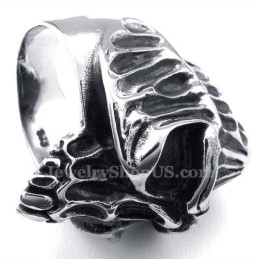 Titanium Schedelring