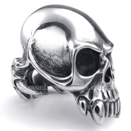 Titanium Schedelring