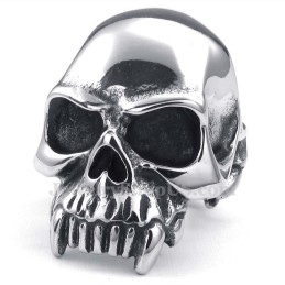 Titanium Schedelring