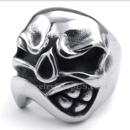 Titanium Schedelring