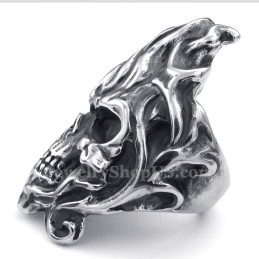 Titanium Schedelring