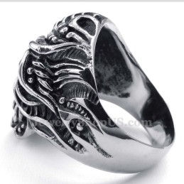 Titanium Schedelring