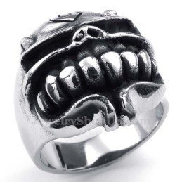 Titanium Schedelring