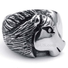 Titanium Paardenhoofd Ring