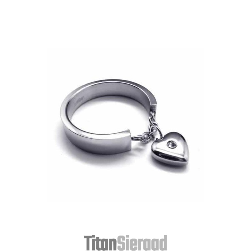 Diamanten Hartvormige Titanium Ring Van 5 Mm