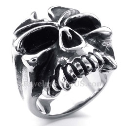 Titanium Schedelring