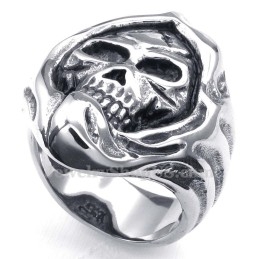Titanium Schedelring