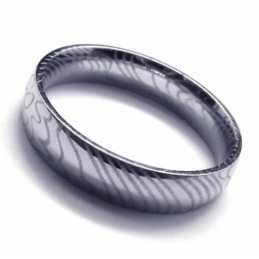 4 Mm Zilveren Damesring Van Titanium
