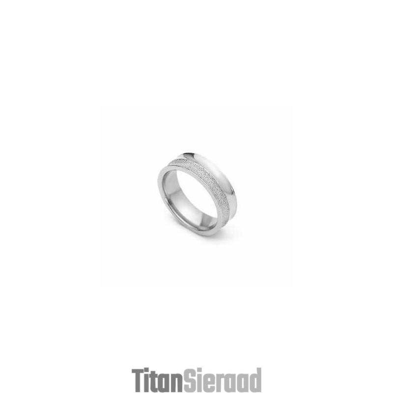 Geborstelde 6 Mm Titanium En Zilveren Ring Geborstelde 6 Mm Titanium En Zilveren Ring