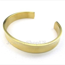Heren Titanium Gouden Armband