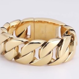 Nieuwe Vergulde Heren Titanium Armband