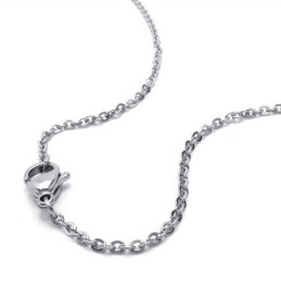 15,7 Inch Titanium Zilveren Modieuze Ketting