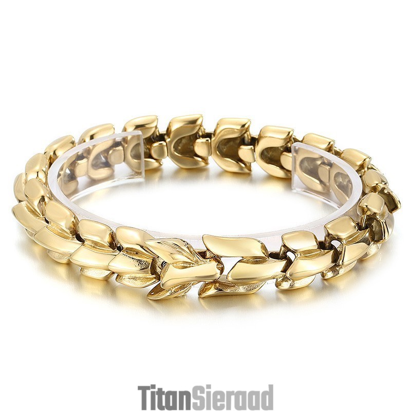 Coole Vacuümvergulde Multicolor Titanium Armband Voor Heren