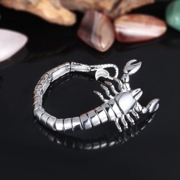 Schorpioendier Gepolijst Titanium Armband